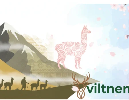 hitsujikai arupaka explained with visual representation for informational blog content