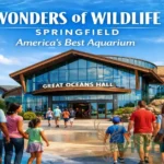 Wonders of Wildlife Museum & Aquarium Springfield exterior with Great Oceans Hall and wildlife exhibits entrance