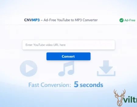 CNVMP3 YouTube to MP3 converter interface showing input field, convert button, and ad-free badge