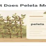 What Does Pellela Mean explained with a leaf-and-branch screen and a Spanish word confusion visual