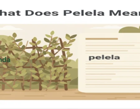 What Does Pellela Mean explained with a leaf-and-branch screen and a Spanish word confusion visual