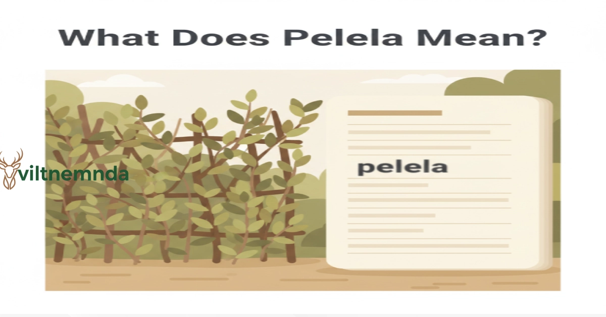 What Does Pellela Mean explained with a leaf-and-branch screen and a Spanish word confusion visual