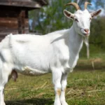 exhentaime time management concept showing work-life balance with productivity and leisure activities