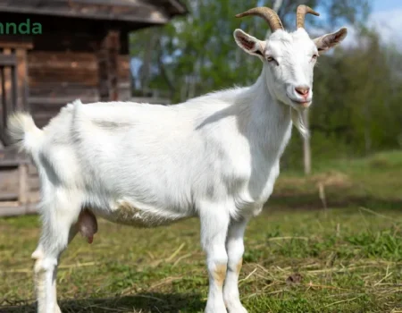 exhentaime time management concept showing work-life balance with productivity and leisure activities