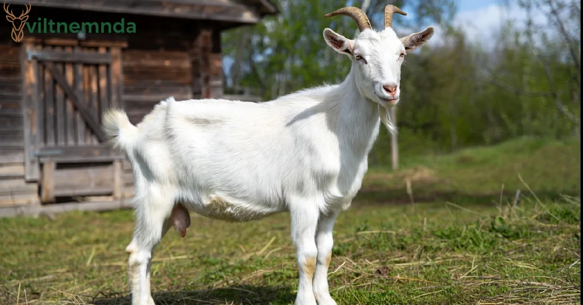 exhentaime time management concept showing work-life balance with productivity and leisure activities