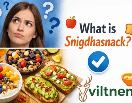 What is Snigdhasnack - visual guide showing question marks and trending snack inspiration content with verification checklist