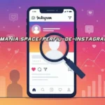 Instagram profile visitors tracking methods showing Stories analytics and engagement patterns on mobile screen